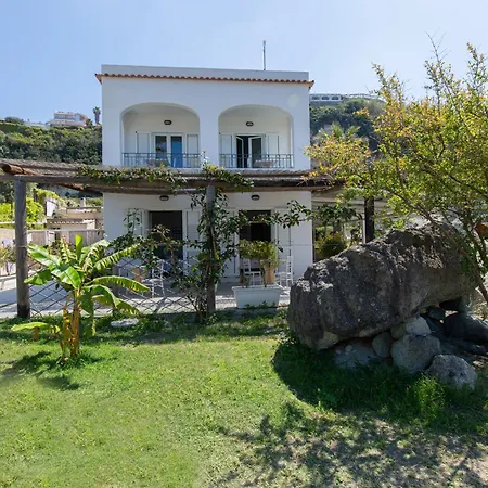 Al Mare Famiglia Calise Forio di Ischia